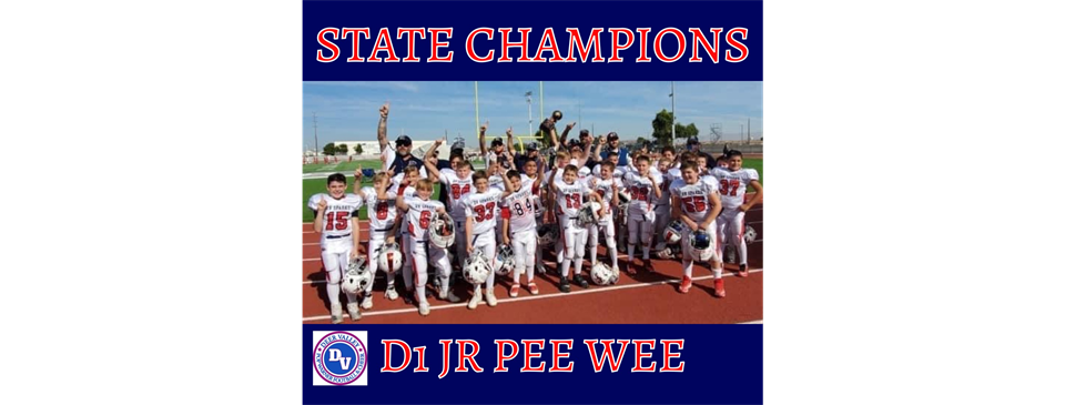 2020 STATE CHAMPIONS DV SPARKS 
