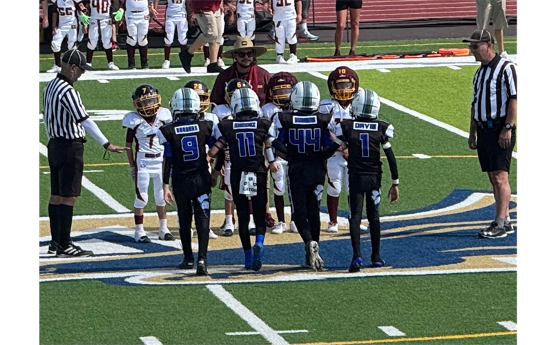 9u Hornets
