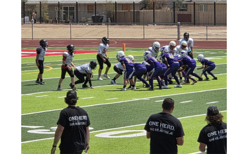 12u The Herd